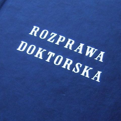Rozprawa 33
