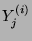 $ Y_{j}^{(i)}$