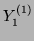 $ Y_{1}^{(1)}$