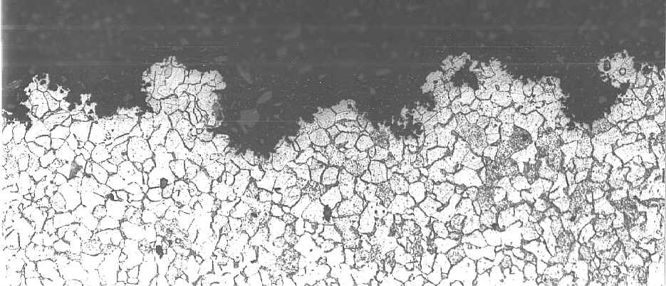 pits in the central area (magnification: x 100)