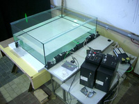 piv